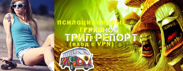 ALPHA PVP Кодинск